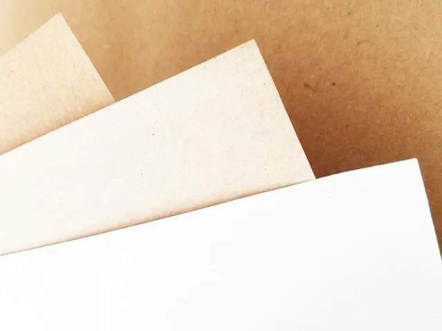 Bobine di carta monolucida